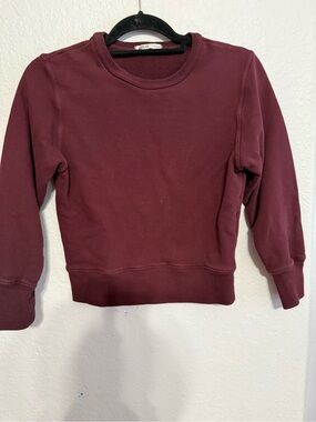 Agolde Premium Burgundy Crewneck Pullover